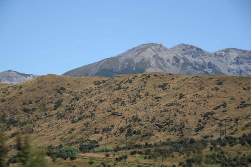 Nieuw-Zeeland 2011 - 1272